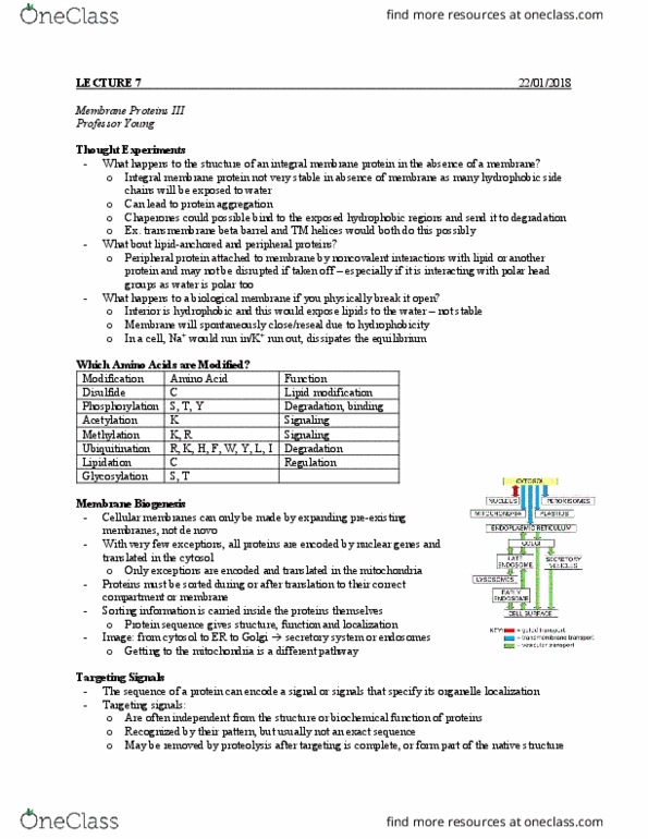 BIOC 212 Lecture Notes - Lecture 3: Homeostasis, Macroglobulin, Isomerase thumbnail