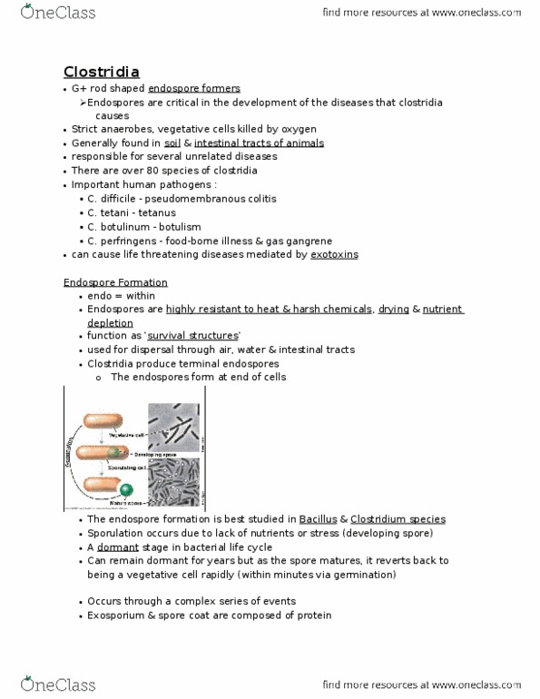 Microbiology and Immunology 2500A/B Lecture Notes - Enterotoxin, Virulence Factor, Phospholipid thumbnail