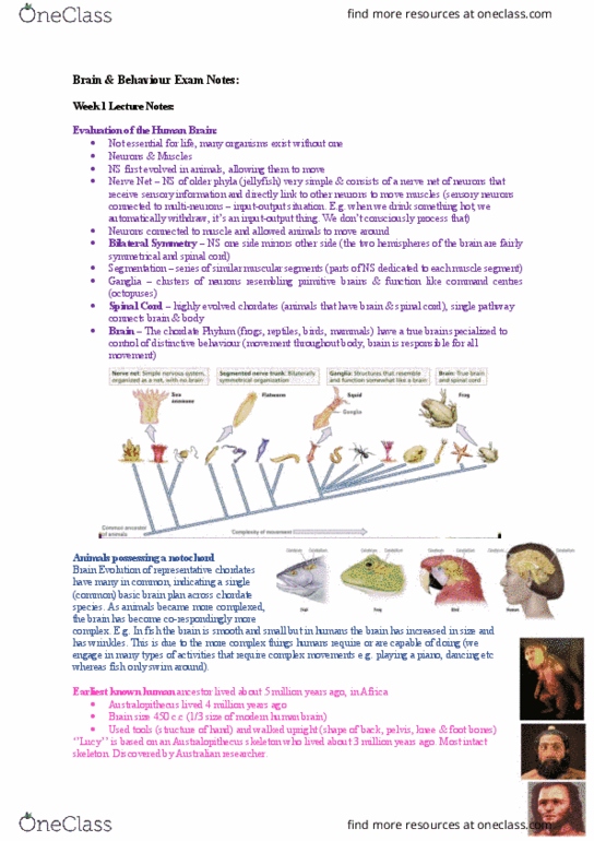 BIOL1002 Lecture Notes - Lecture 1: Sympathetic Nervous System, Glossopharyngeal Nerve, Coccyx thumbnail
