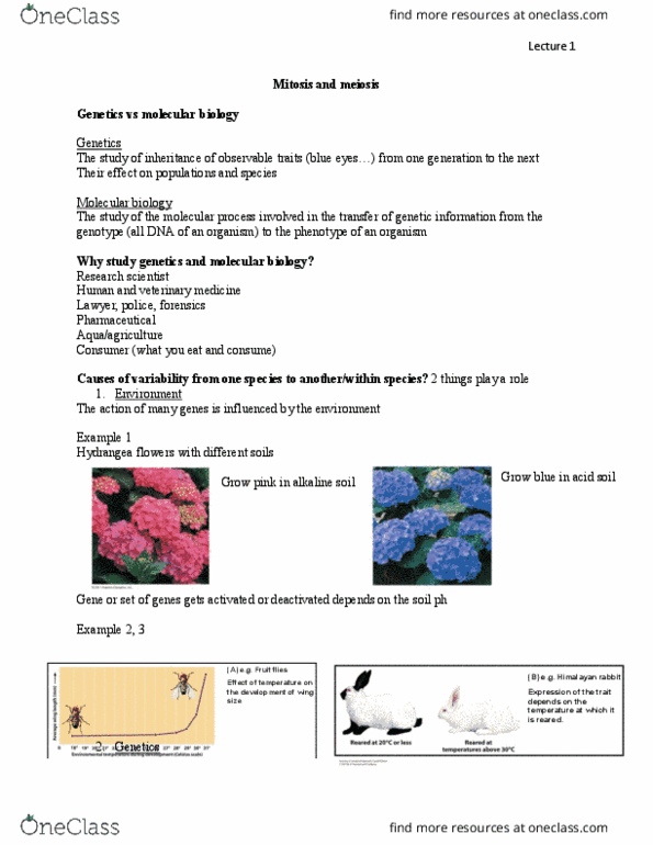 BIOL 1010 Lecture Notes - Lecture 1: Centrosome, Cell Cycle, Fertilisation thumbnail