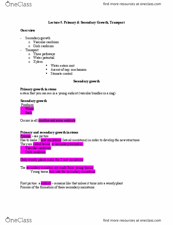 BIOL 1011 Lecture Notes - Lecture 5: Root Hair, Quercus Suber, Circadian Rhythm thumbnail