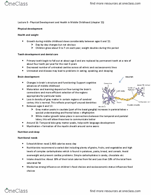 PSYB20H3 Lecture Notes - Lecture 8: Art Therapy, Fluoxetine, Obstructive Sleep Apnea thumbnail