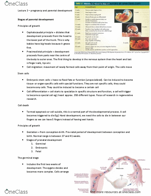 PSYB20H3 Lecture Notes - Lecture 3: Congenital Heart Defect, Organogenesis, Neurodevelopmental Disorder thumbnail