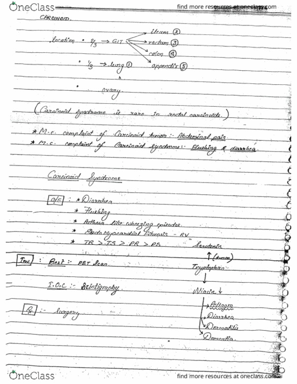 document preview image