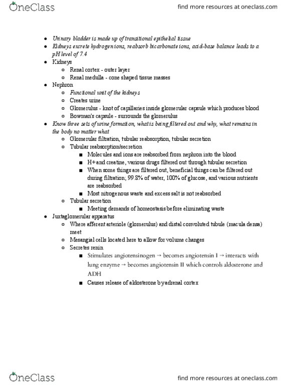 BIO 106 Lecture Notes - Lecture 15: Distal Convoluted Tubule, Macula Densa, Renal Physiology thumbnail