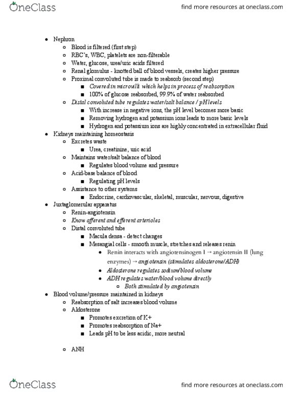 BIO 106 Lecture Notes - Lecture 16: Macula Densa, Juxtaglomerular Apparatus, Angiotensin thumbnail