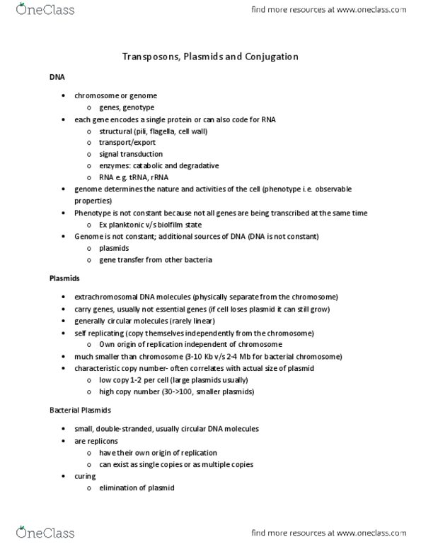 MICR 221 Lecture : MICR 221 - Transposons%2C plasmids and conjugation.docx thumbnail