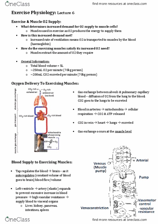 EXSS2028 Lecture Notes - Lecture 6: Perfusion, Partial Pressure, Heart Failure thumbnail