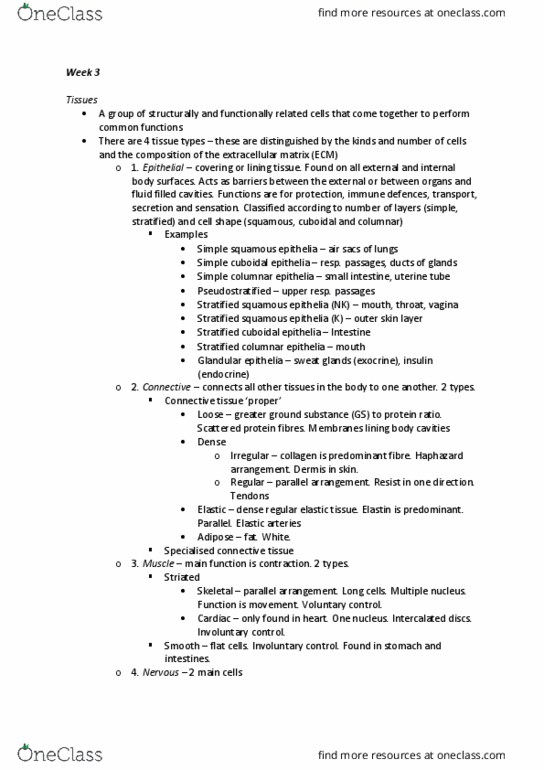 301126 Lecture Notes - Lecture 2: Capillary, Tunica Media, Tunica Externa thumbnail