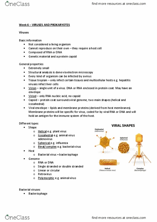 300802 Lecture Notes - Lecture 4: Chitin, Commensalism, Envelope Glycoprotein Gp120 thumbnail