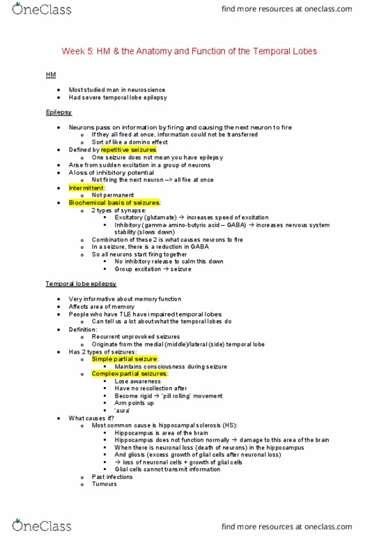 PSYC20006 Lecture Notes - Lecture 5: Prefrontal Cortex, Hypothalamus, Amygdala thumbnail