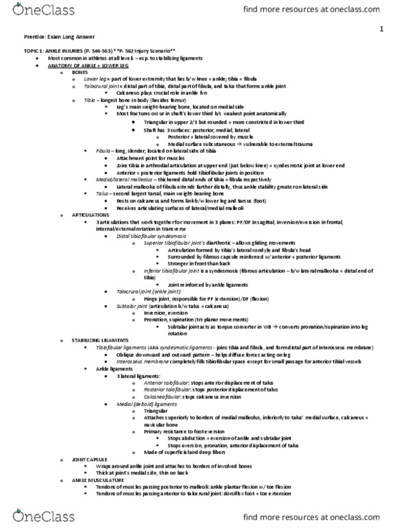 BPK 241 Lecture Notes - Lecture 1: Talar, Plantaris Muscle, Stress Fracture thumbnail