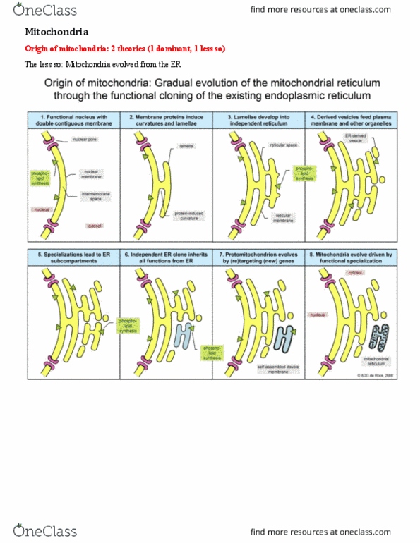 MCB 2050 Lecture Notes - Lecture 4: Apoptosis, Pink1, Electrochemical Potential thumbnail