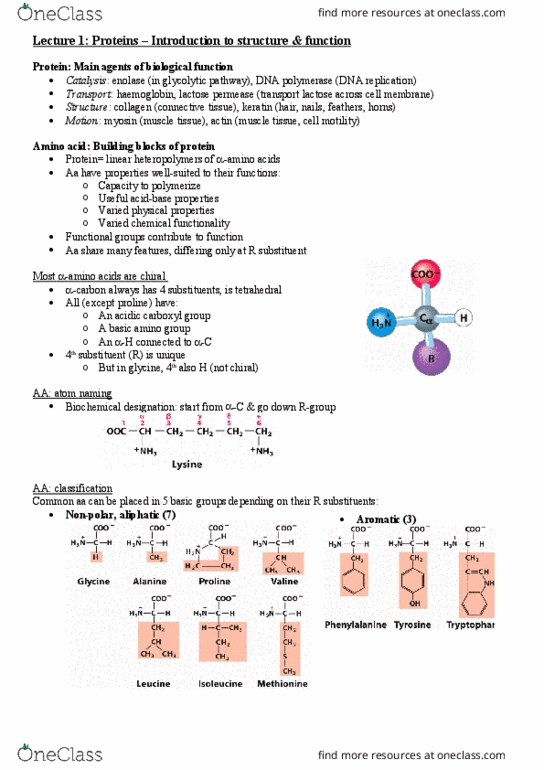 BCMB2002 Lecture Notes - Lecture 1: Amanitin, Alpha-Ketoglutaric Acid, Vasoconstriction thumbnail