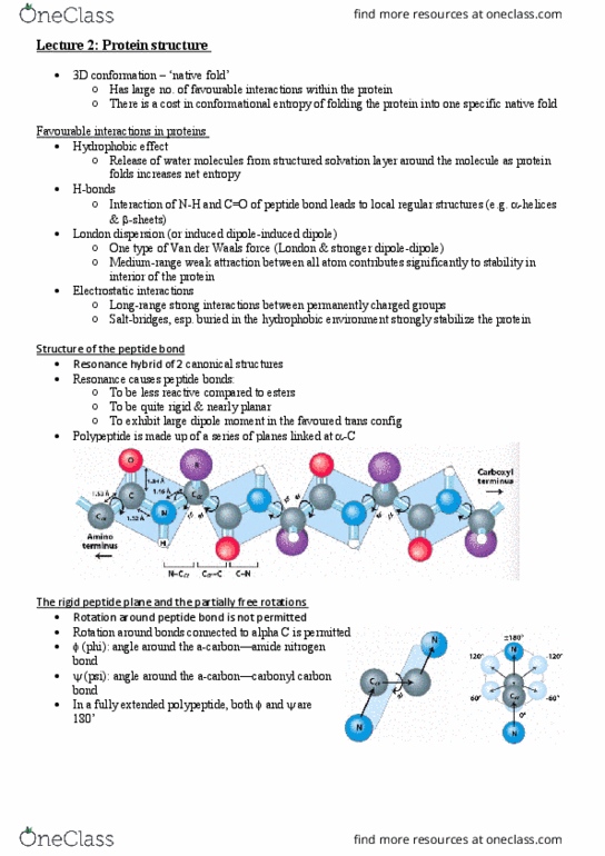 BCMB2002 Lecture Notes - Lecture 2: Guanidine, Circular Dichroism, Protein Aggregation thumbnail