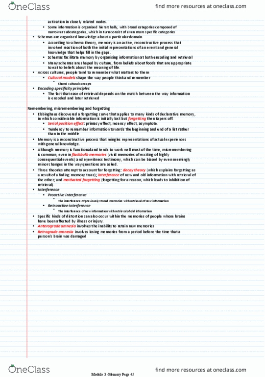 PSYC1000 Lecture Notes - Lecture 11: Sketchpad, Anterograde Amnesia, Retrograde Amnesia thumbnail