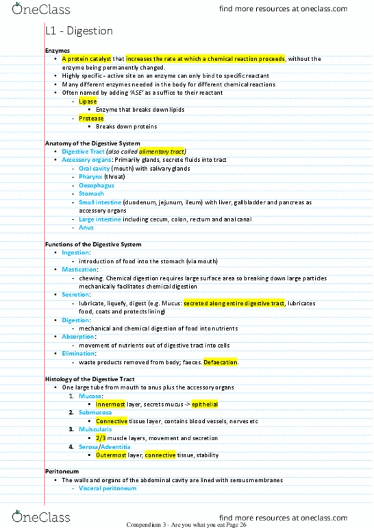 HUMB1000 Lecture Notes - Lecture 8: Amylase, Pepsin, Palatine Uvula thumbnail