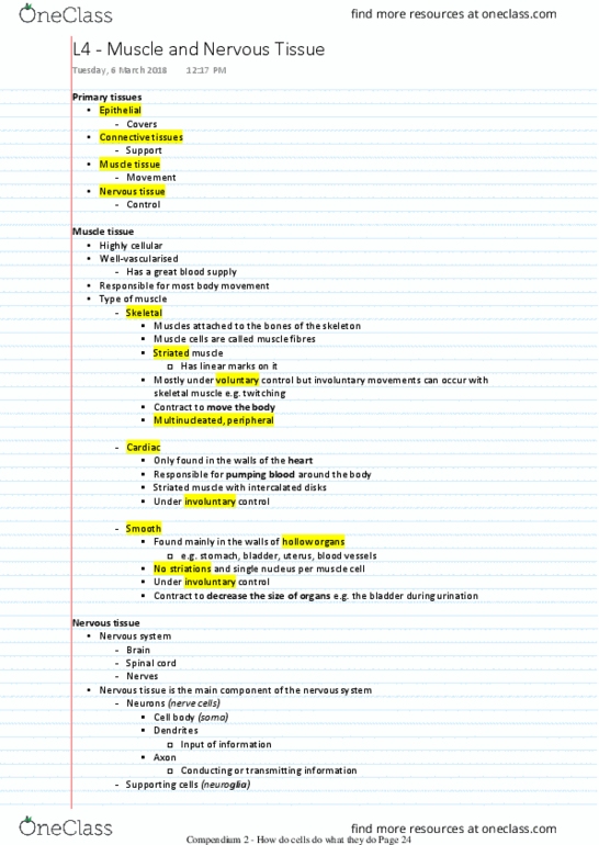 HUMB1000 Lecture Notes - Lecture 7: Ureter, Skeletal Muscle, Nervous Tissue thumbnail