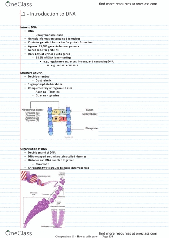 HUMB1000 Lecture Notes - Lecture 32: Heredity, Karyotype, Chromosome thumbnail