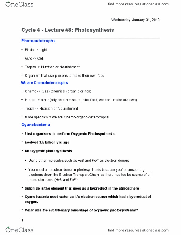 Biology 1202B Lecture Notes - Lecture 8: Chloroplast, Glycolysis, Photosynthetic Reaction Centre thumbnail