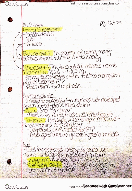 PHYS 215 Chapter 2.1: Chapter 2 book notes thumbnail