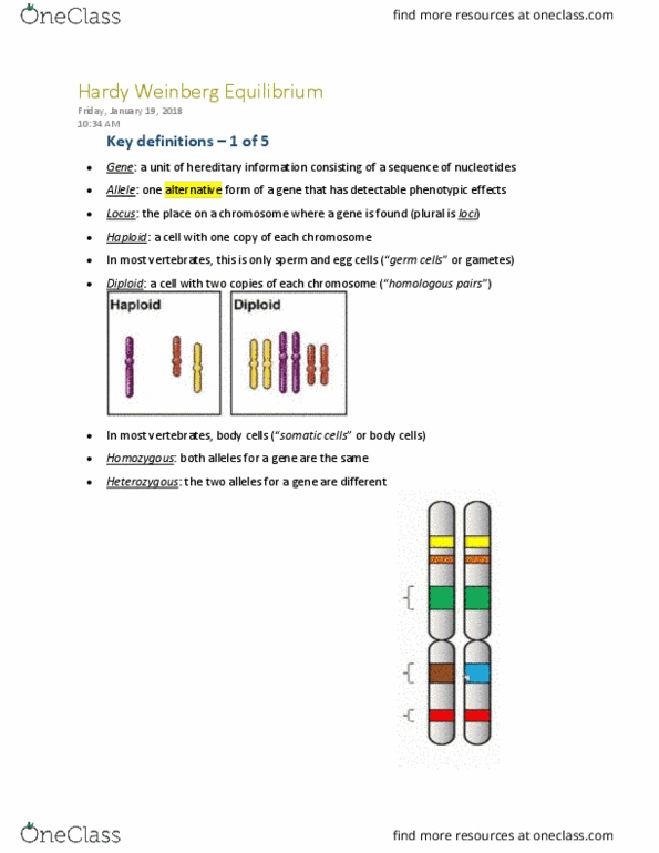 BIOL 1001 Chapter Notes - Chapter 5: Mendelian Inheritance, Antirrhinum, Genetic Drift thumbnail