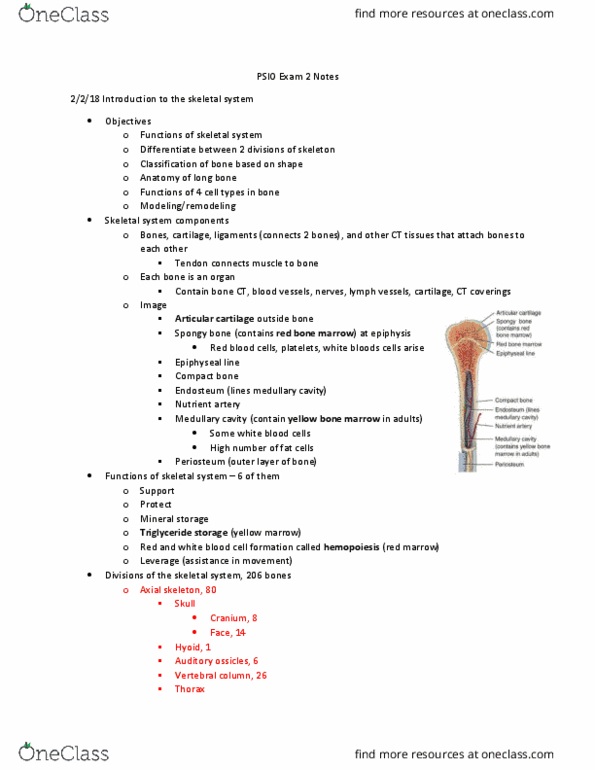 PSIO 201 Lecture Notes - Lecture 2: Scaphoid Bone, Joint Capsule, Mitosis thumbnail