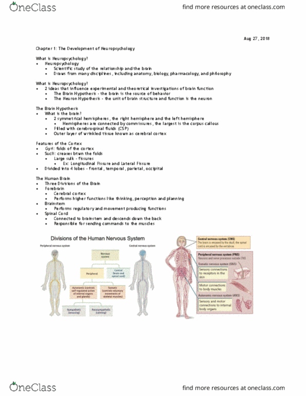 PSY 436LEC Lecture Notes - Lecture 1: Central Nervous System, Paul Broca, Carl Wernicke thumbnail