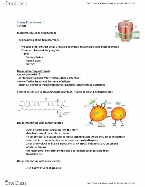 PHAR2821 Lecture Notes - Lecture 1: Physical Chemistry, Protein Structure, Cell Nucleus thumbnail