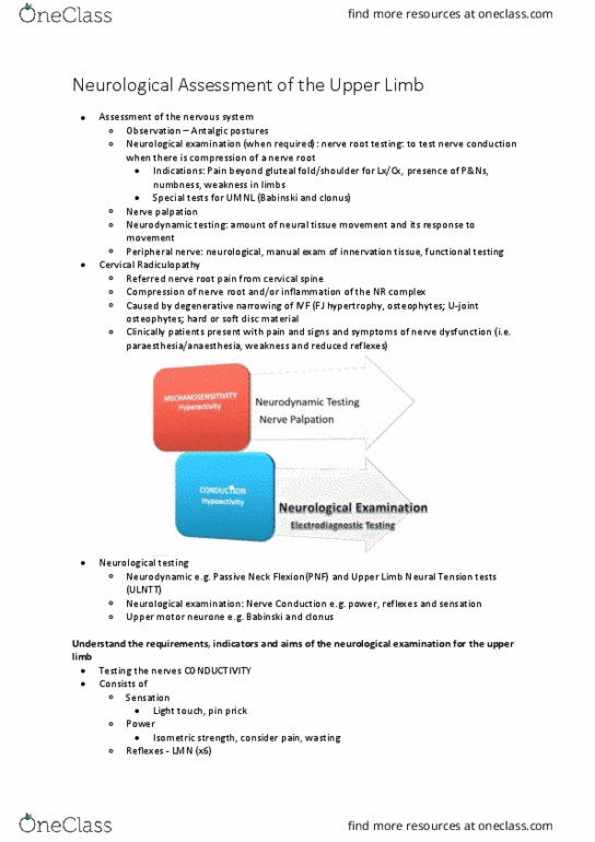 PHTY207 Lecture Notes - Lecture 11: Clavicle, Hyperreflexia, Scapula thumbnail