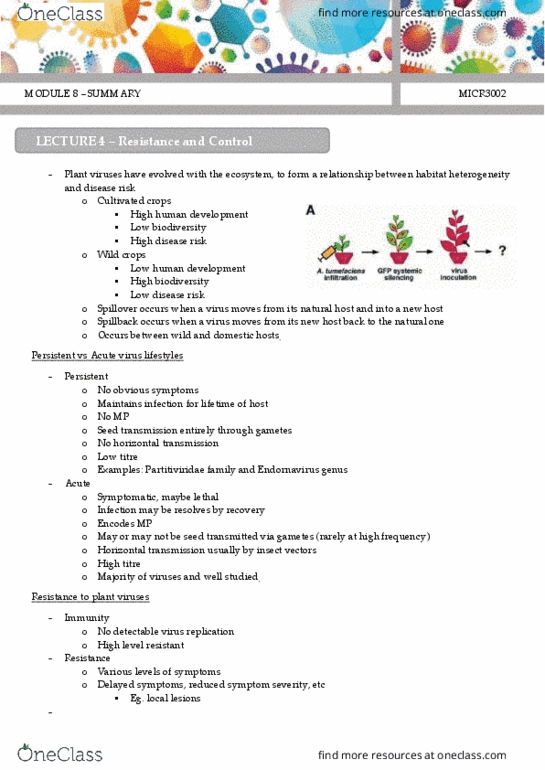 MICR3002 Lecture Notes - Lecture 4: Cowpea, Microrna, Antisense Rna thumbnail