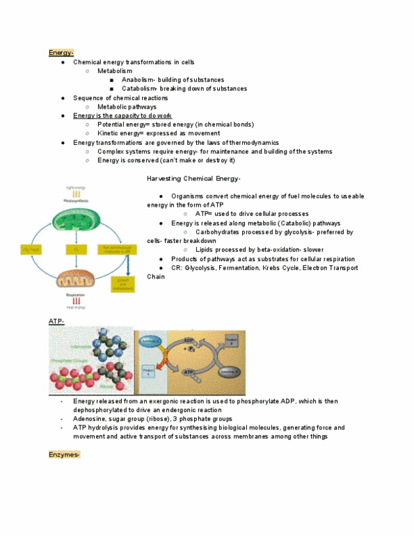BIOL10004 Lecture 4: Module 2 Photosynthesis-Respiration thumbnail