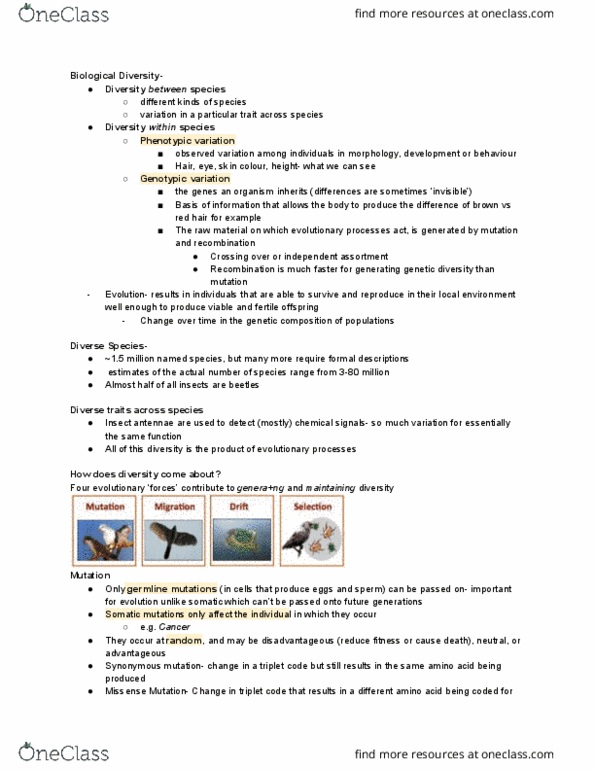 BIOL10004 Lecture Notes - Lecture 15: Coevolution, Penicillin, Lycaenidae thumbnail