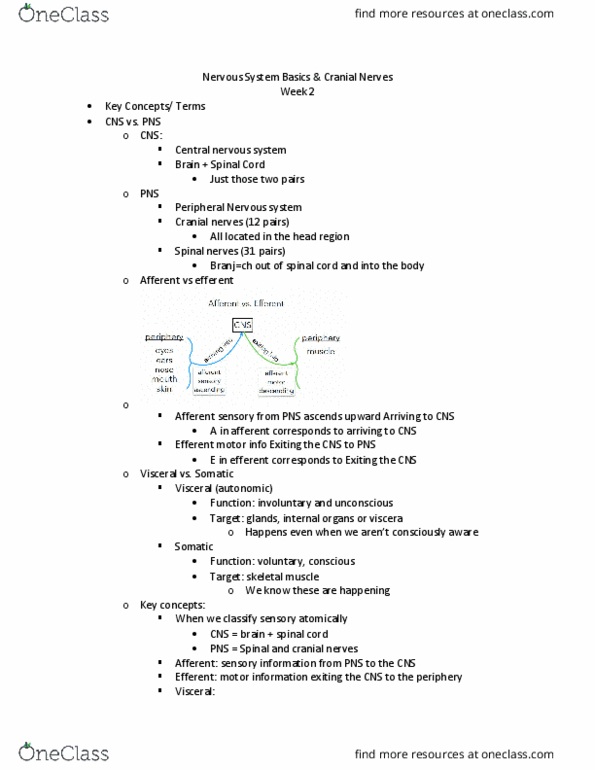 SPA 3101 Lecture Notes - Lecture 2: Semicircular Canals, Pupillary Response, Somatosensory System thumbnail