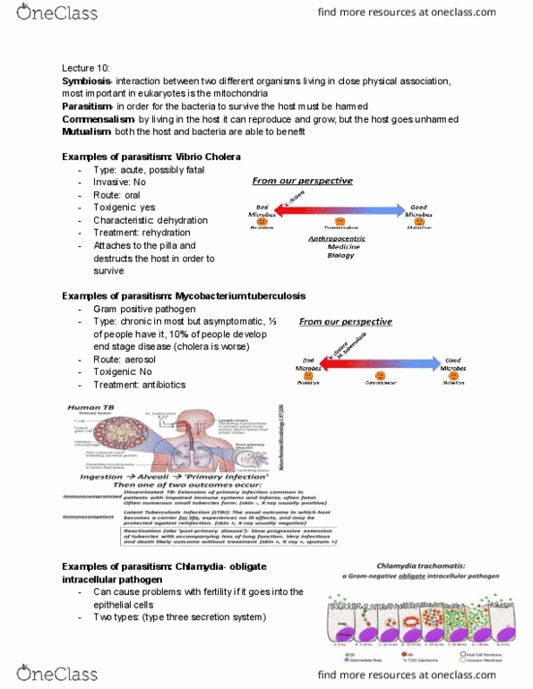 MIC 301 Lecture Notes - Lecture 2: Cutaneous Leishmaniasis, Hypoglycemia, Beta-Lactam thumbnail