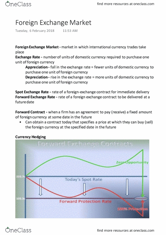 ECON 219 Lecture Notes - Lecture 10: Spot Contract, Big Mac Index, Foreign Exchange Controls thumbnail