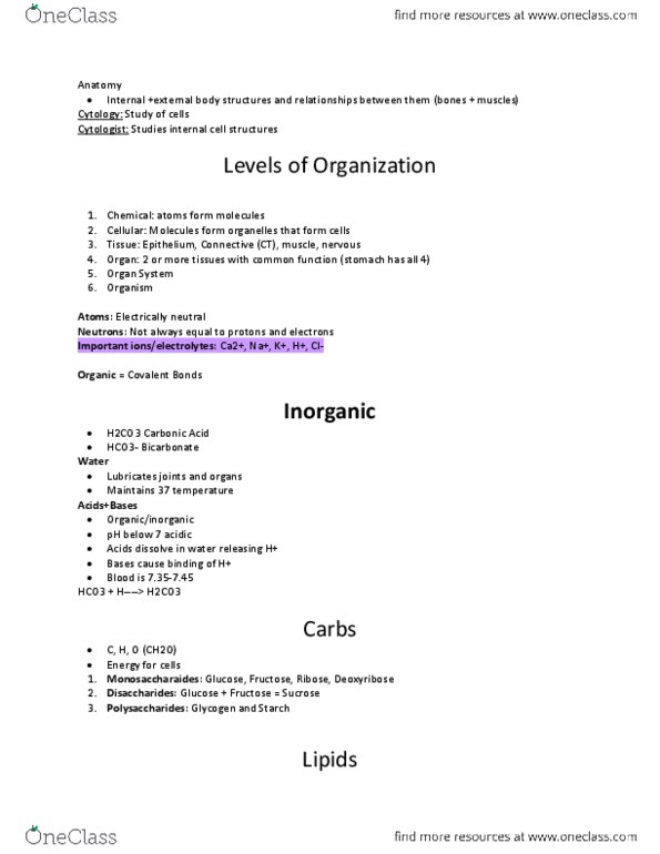 BIOL 1410 Lecture Notes - Fructose, Deoxyribose, Bicarbonate thumbnail