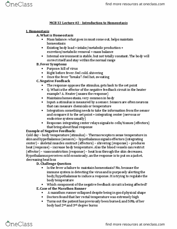 MCELLBI 32 Lecture Notes - Lecture 2: Mass Balance, Thermoreceptor, Homeostasis thumbnail