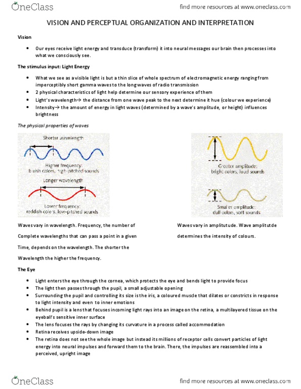 PSYC 1000 Chapter Notes -Color Vision, Visual Cortex, Depth Perception thumbnail