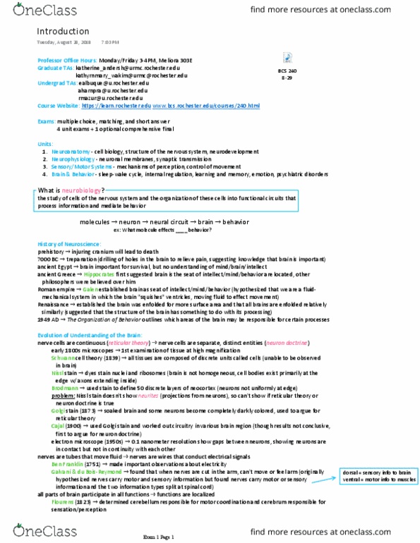 BCS 240 Lecture Notes - Lecture 1: Franz Nissl, Golgi'S Method, Neuron Doctrine thumbnail