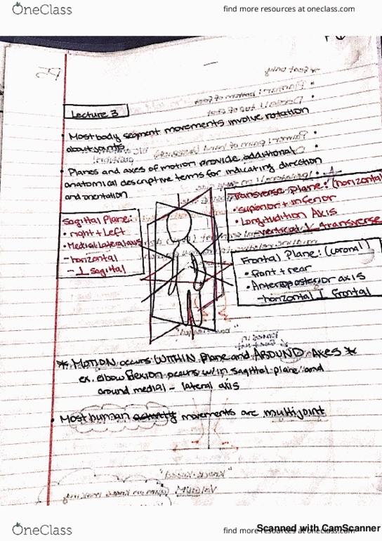 KINES 202 Lecture 3: Kines 202 lecture 3 thumbnail