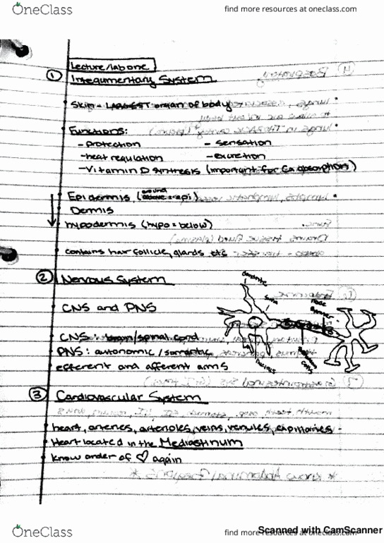 KINES 202 Lecture 1: kines 202 Lab notes 1 thumbnail