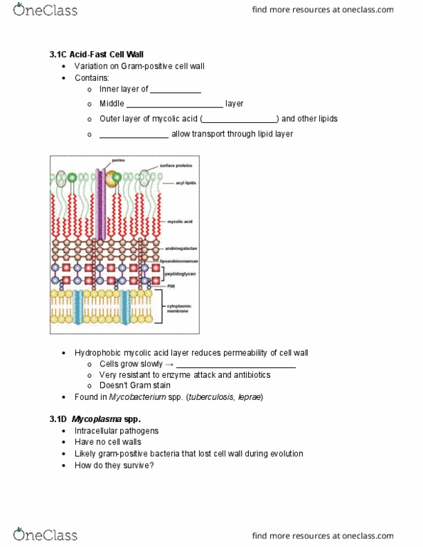 document preview image