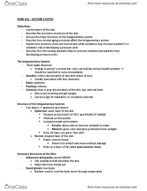 NURS 412 Lecture Notes - Lecture 6: Integumentary System, Pressure Ulcer, Subcutaneous Tissue thumbnail