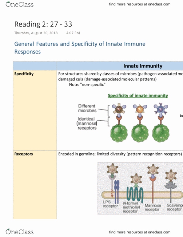 MICR 470 Chapter Notes - Chapter 2: Natural Killer Cell, Innate Immune System, Adaptive Immune System thumbnail