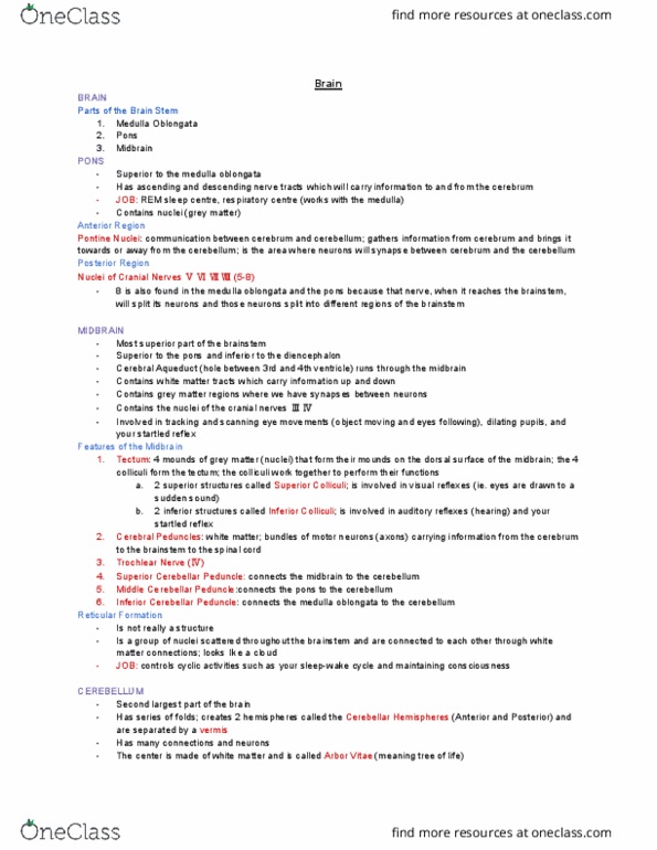 KINESIOL 1Y03 Lecture Notes - Lecture 11: Cerebellum, Cranial Nerves, Grey Matter thumbnail