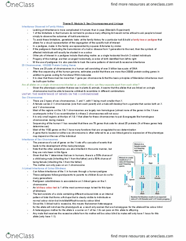 BIOLOGY 1A03 Lecture Notes - Lecture 3: Homologous Chromosome, Mendelian Inheritance, Color Blindness thumbnail