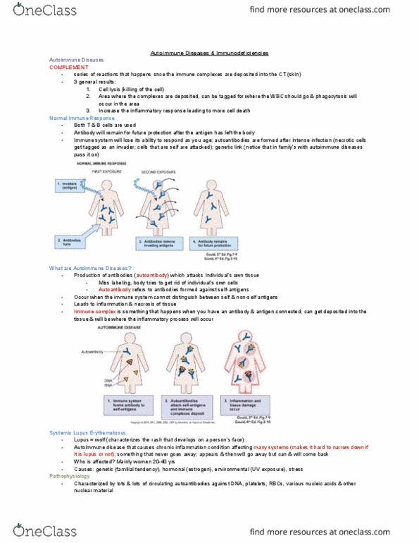 MEDRADSC 1B03 Lecture Notes - Lecture 6: Systemic Lupus Erythematosus, Autoantibody, Immune Complex thumbnail