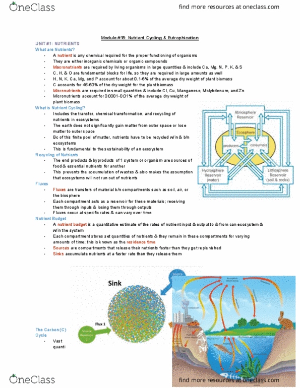 ENVIRSC 1C03 Lecture Notes - Lecture 18: Trophic State Index, Eutrophication, Molybdenum thumbnail