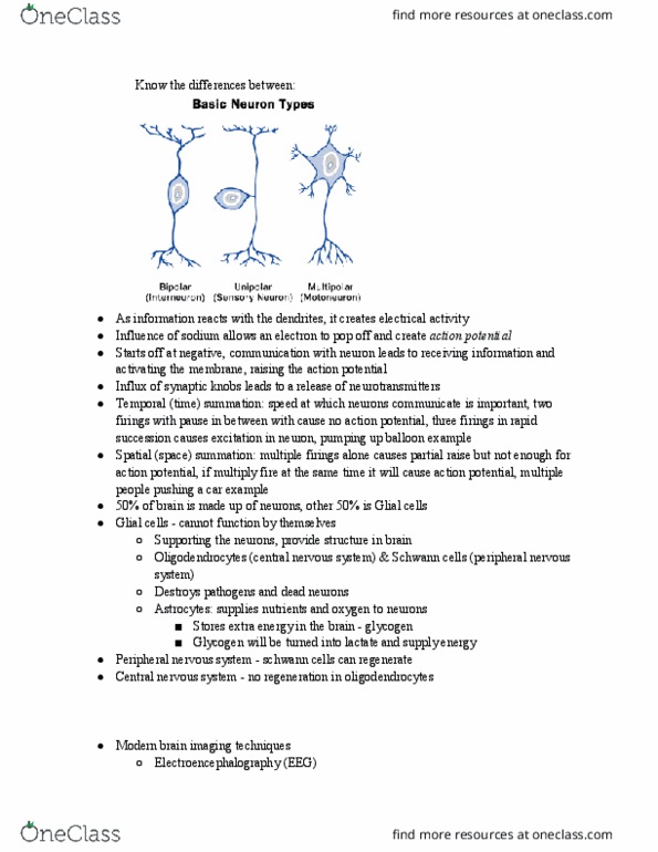 PSY 101 Lecture Notes - Lecture 6: Peripheral Nervous System, Schwann Cell, Oligodendrocyte thumbnail